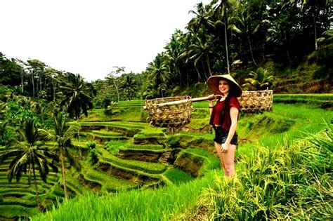 ubud valasindo|UBUD VALASINDO AMC, Kecamatan Ubud, Bali, telepon +62 .